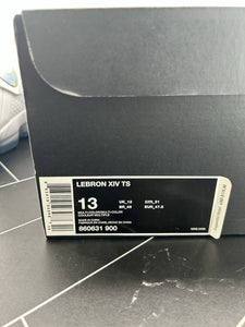 NEW Nike LeBron 14 Time to Shine Size 13 860631-900 2017