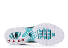 Load image into Gallery viewer, NIKE AIR MAX PLUS &quot;DUSTY CACTUS&quot;